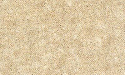 new-sahara